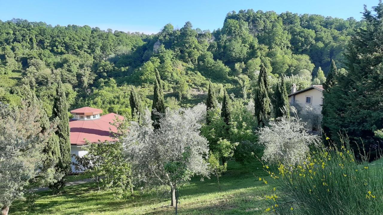Bio Agriturismo Valle Dei Calanchi Castiglione In Teverina Экстерьер фото